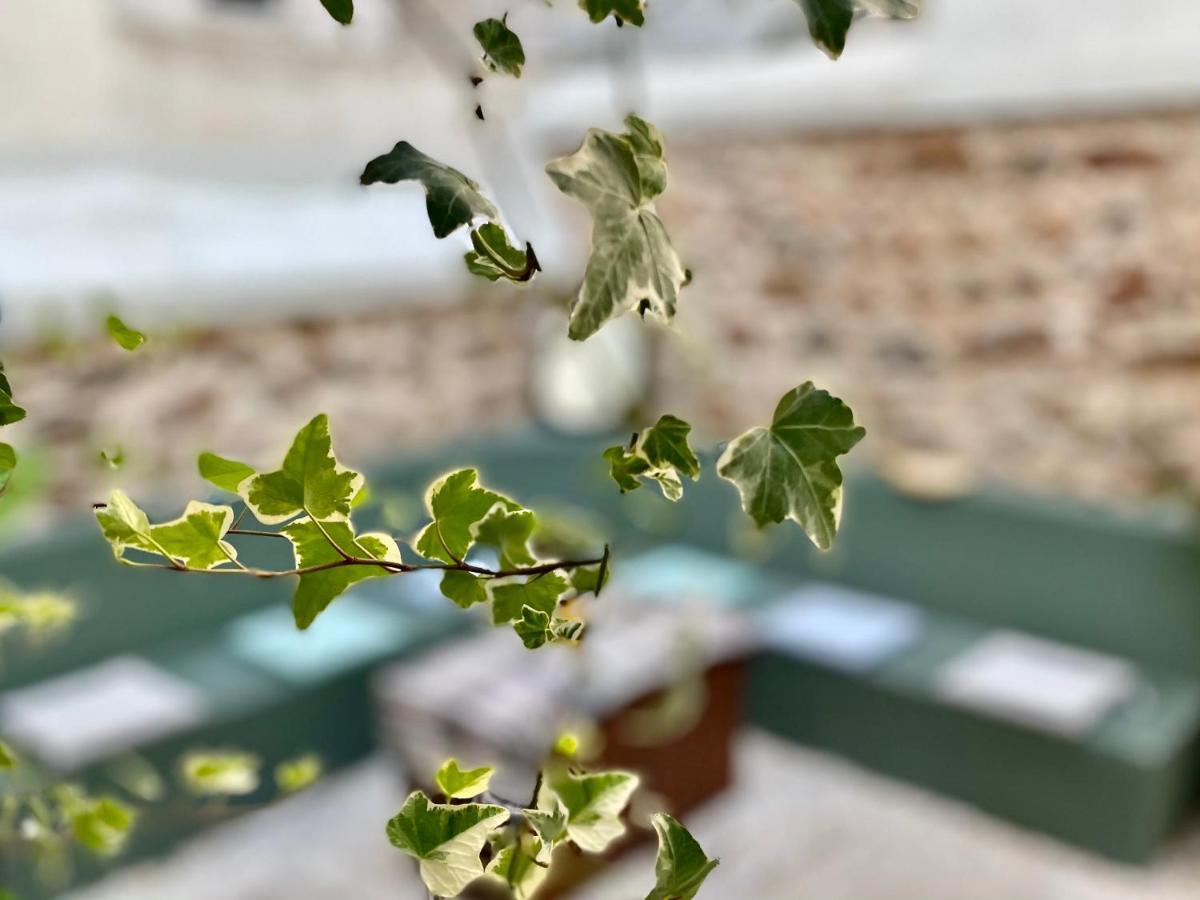 Five Brand New Boutique Apartments Central Athena Bagian luar foto